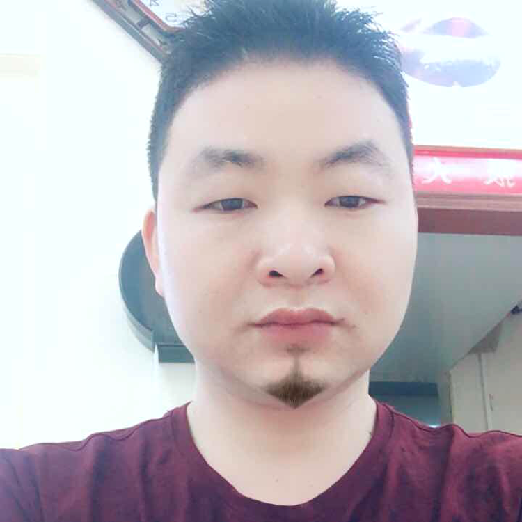英勇相许小鸽子的照片