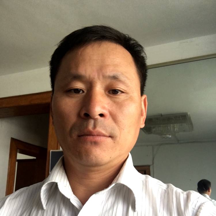刺猬爱恋谁的照片