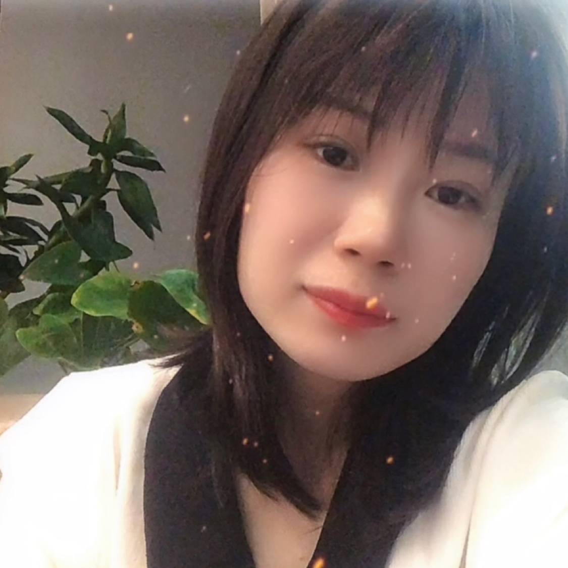 芝麻和初见的照片