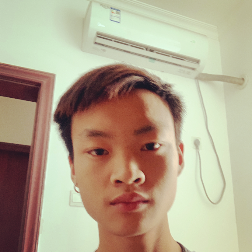猫咪有贪玩的照片