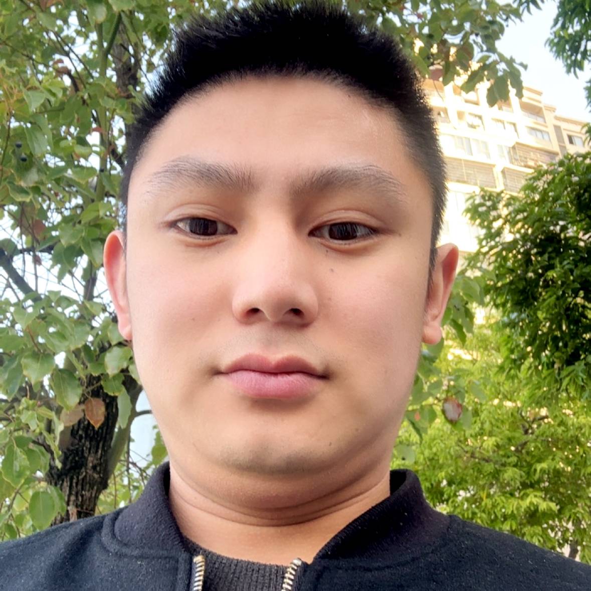 身边de石子路的照片