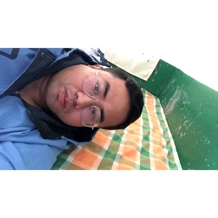 乌冬面冷静的照片