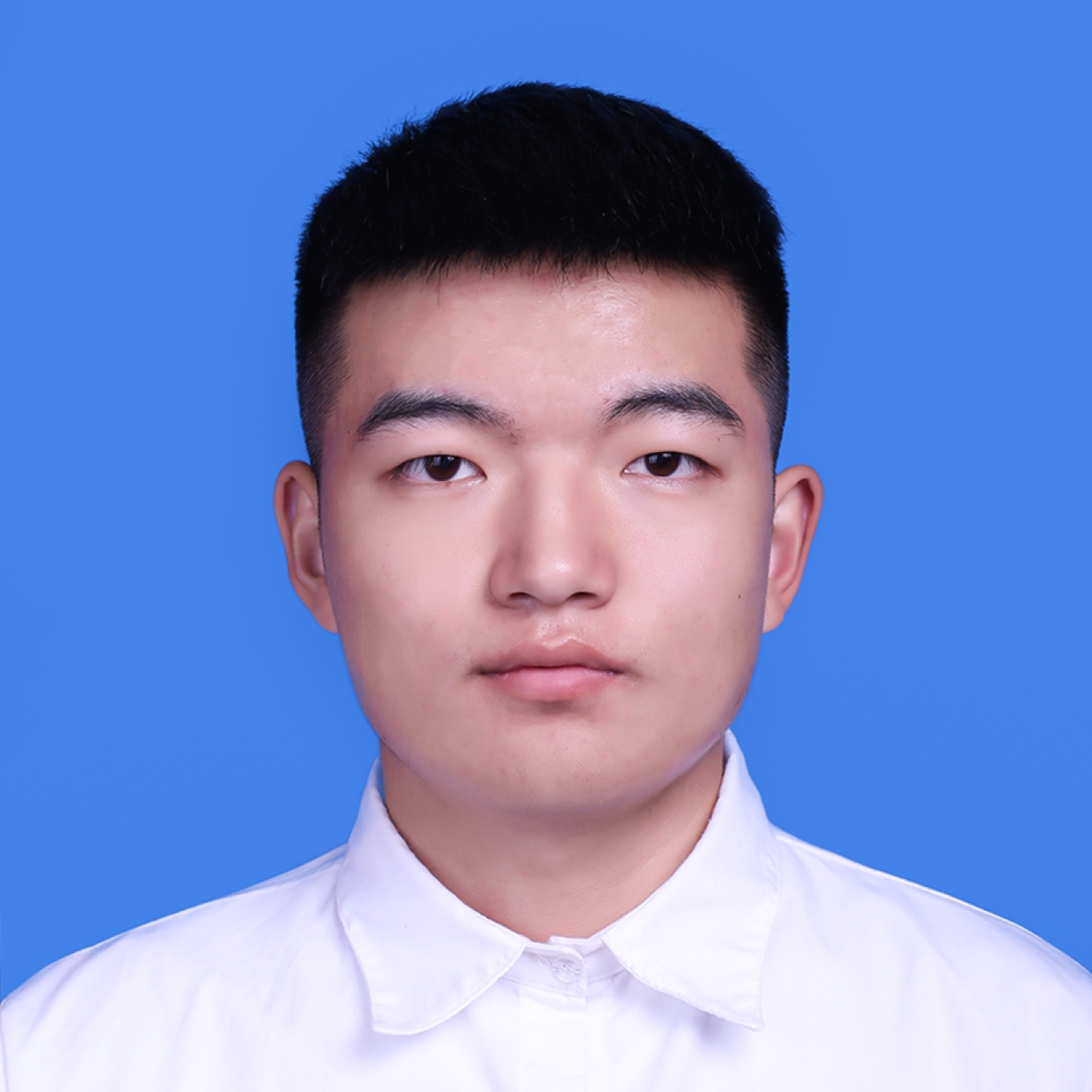 憨憨的照片