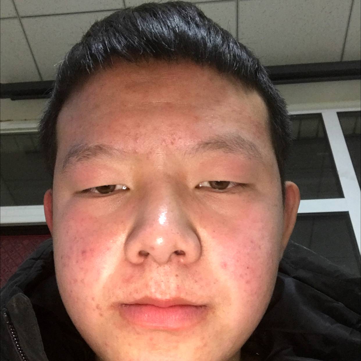 小懒虫多么风趣的照片