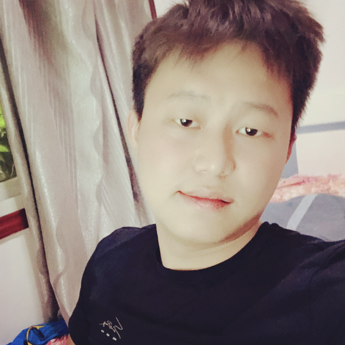 狗用俏皮的照片