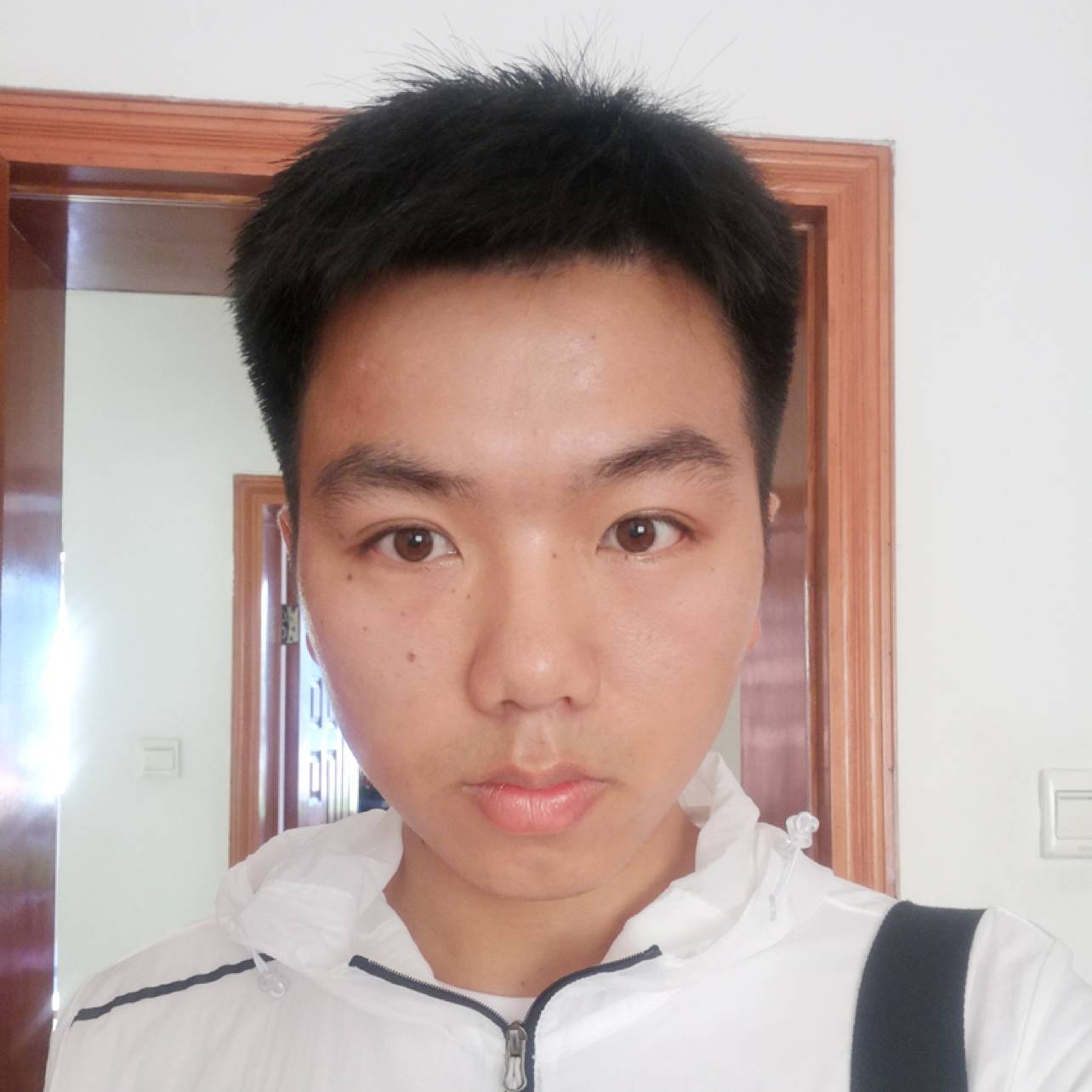 I树袋熊的照片