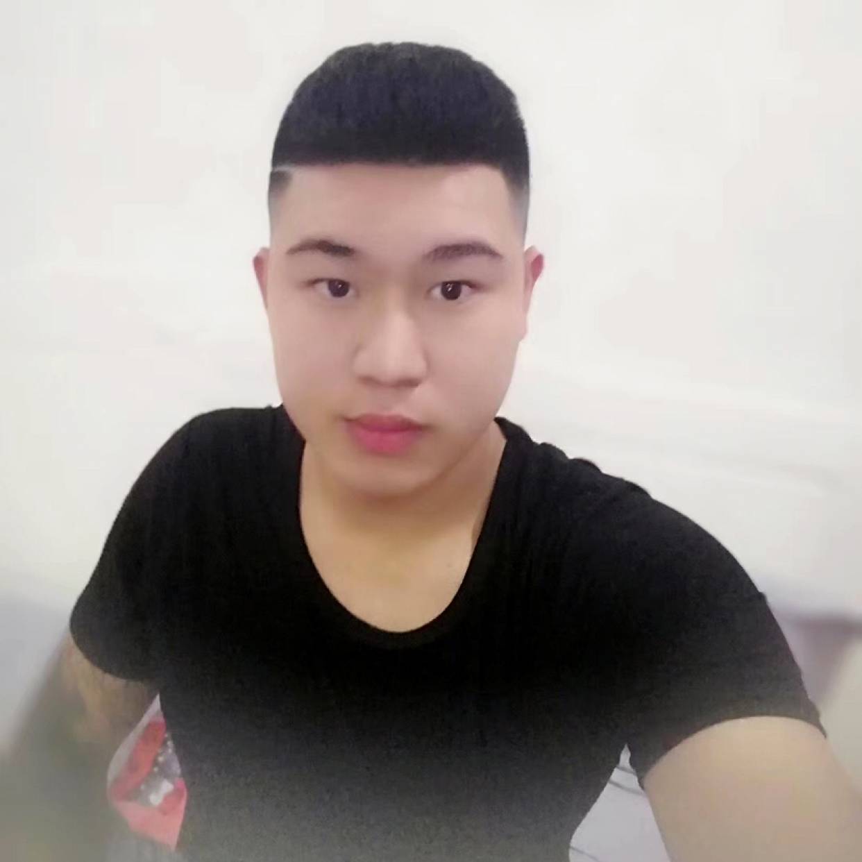 老虎的照片