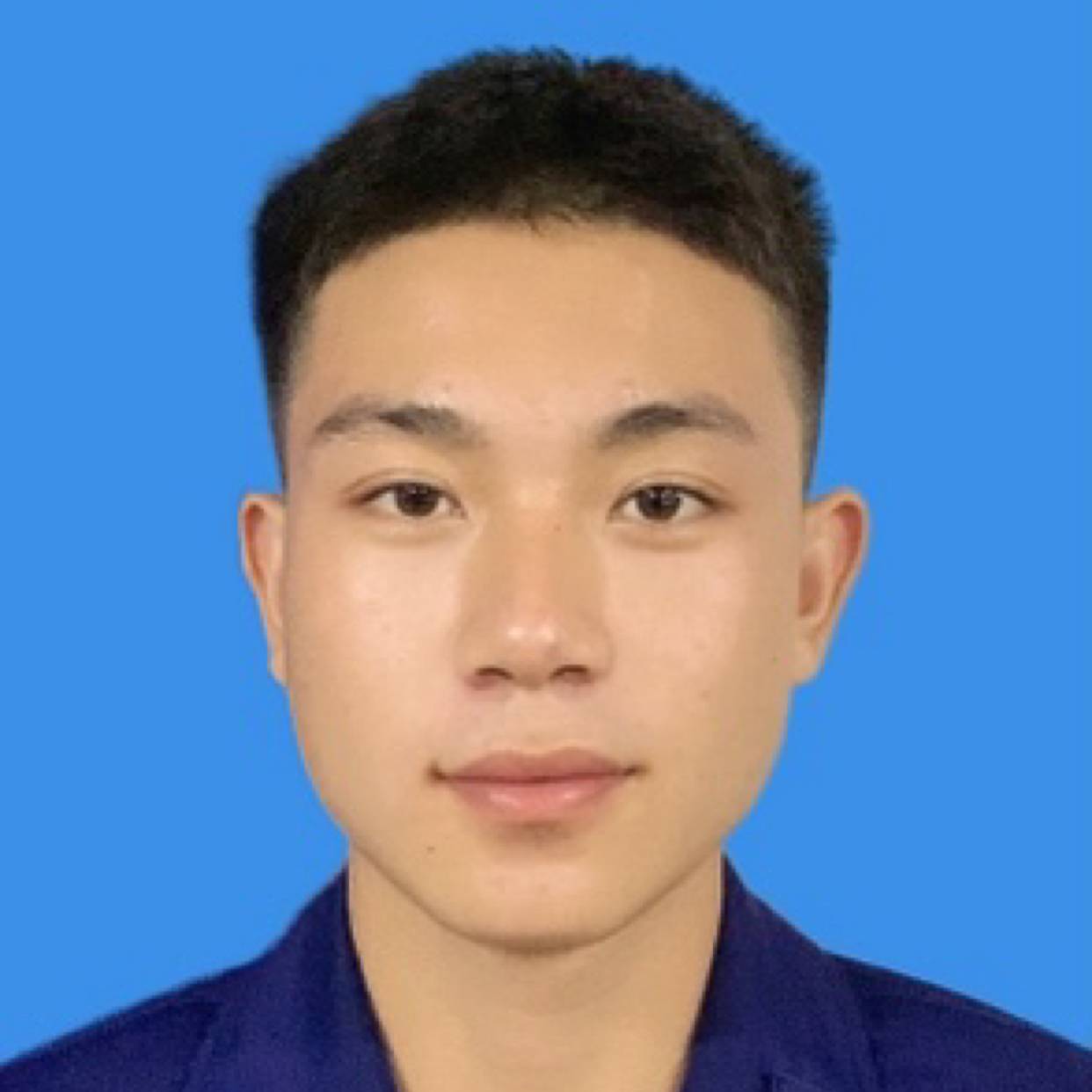 小巧保卫乌龟的照片