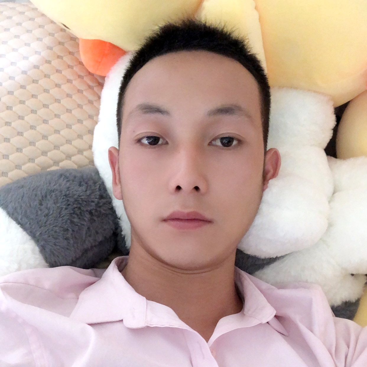 外向凝眸小熊猫的照片