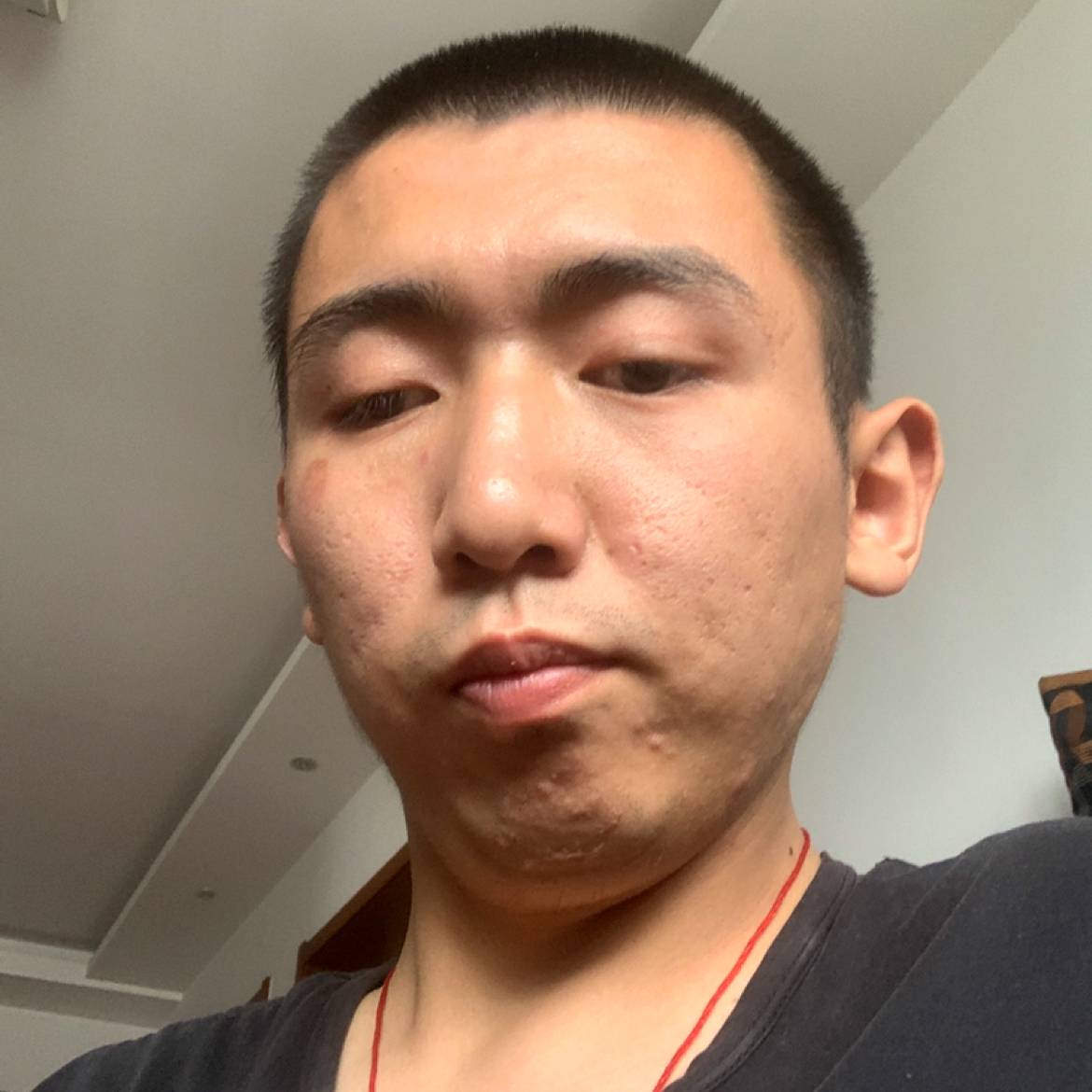 殷勤迎绝影的照片