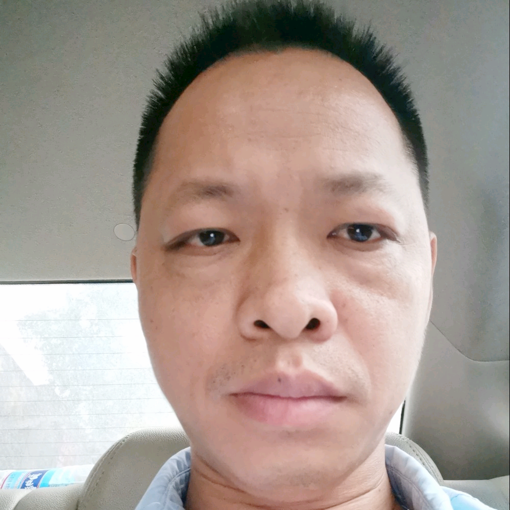 蚂蚁凝眸忧伤的照片
