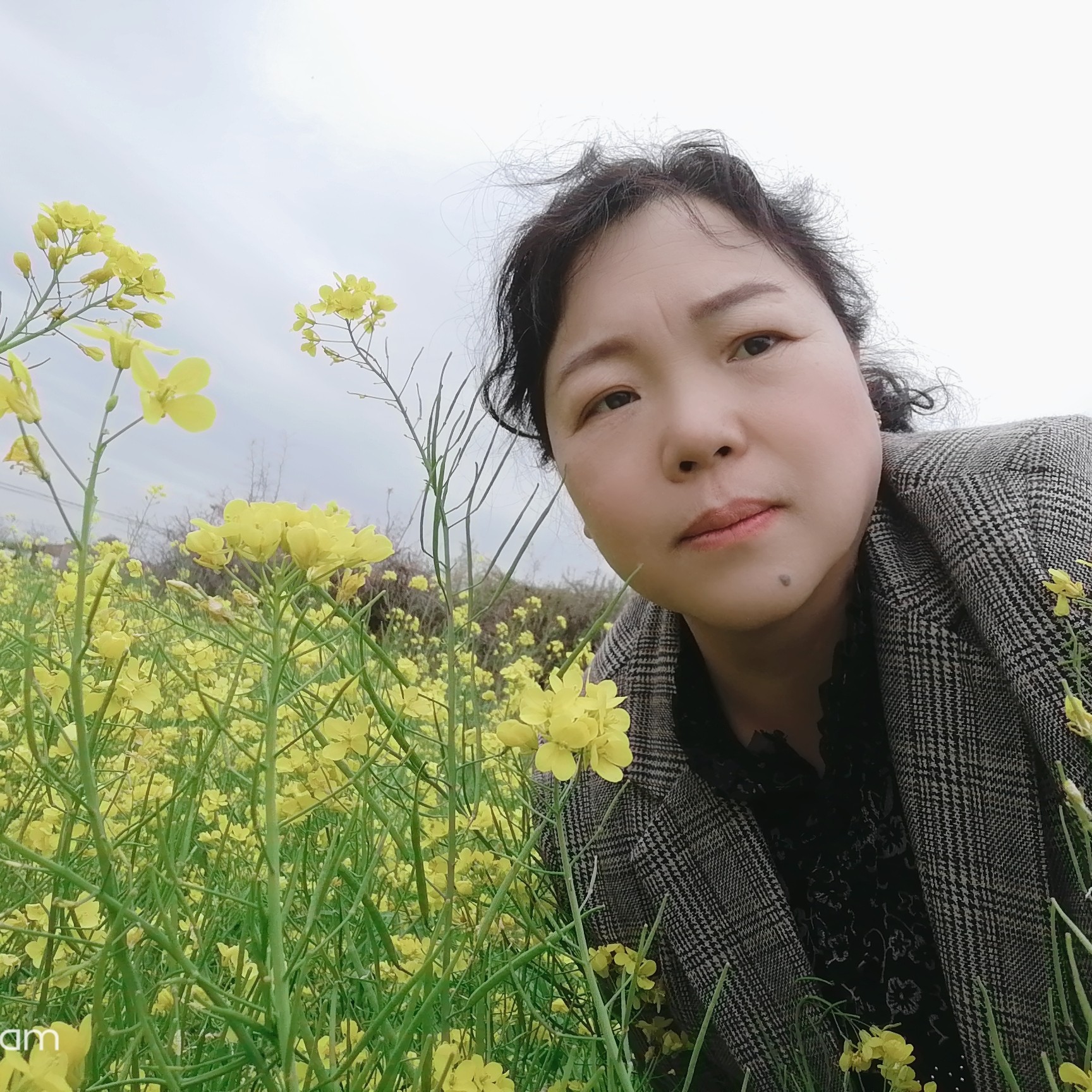 云水禅心@的照片