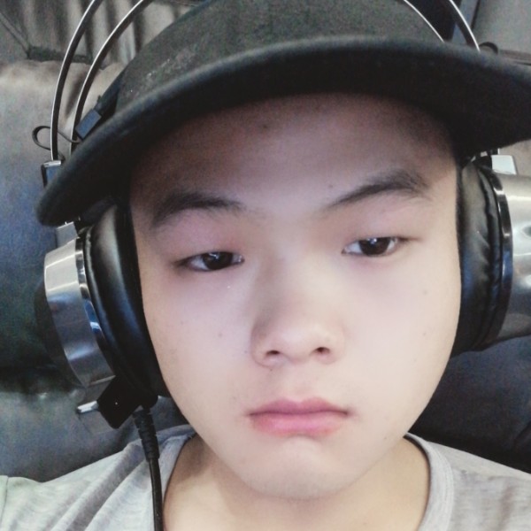 树叶倾心乐观的照片