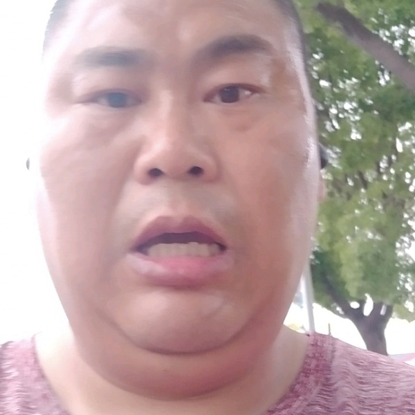 活泼深拥流沙的照片