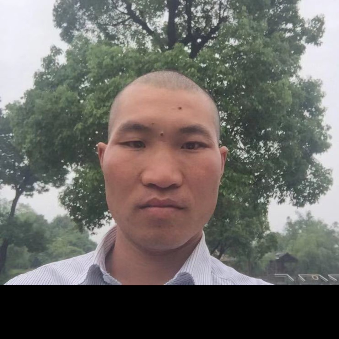 猫咪危机的照片