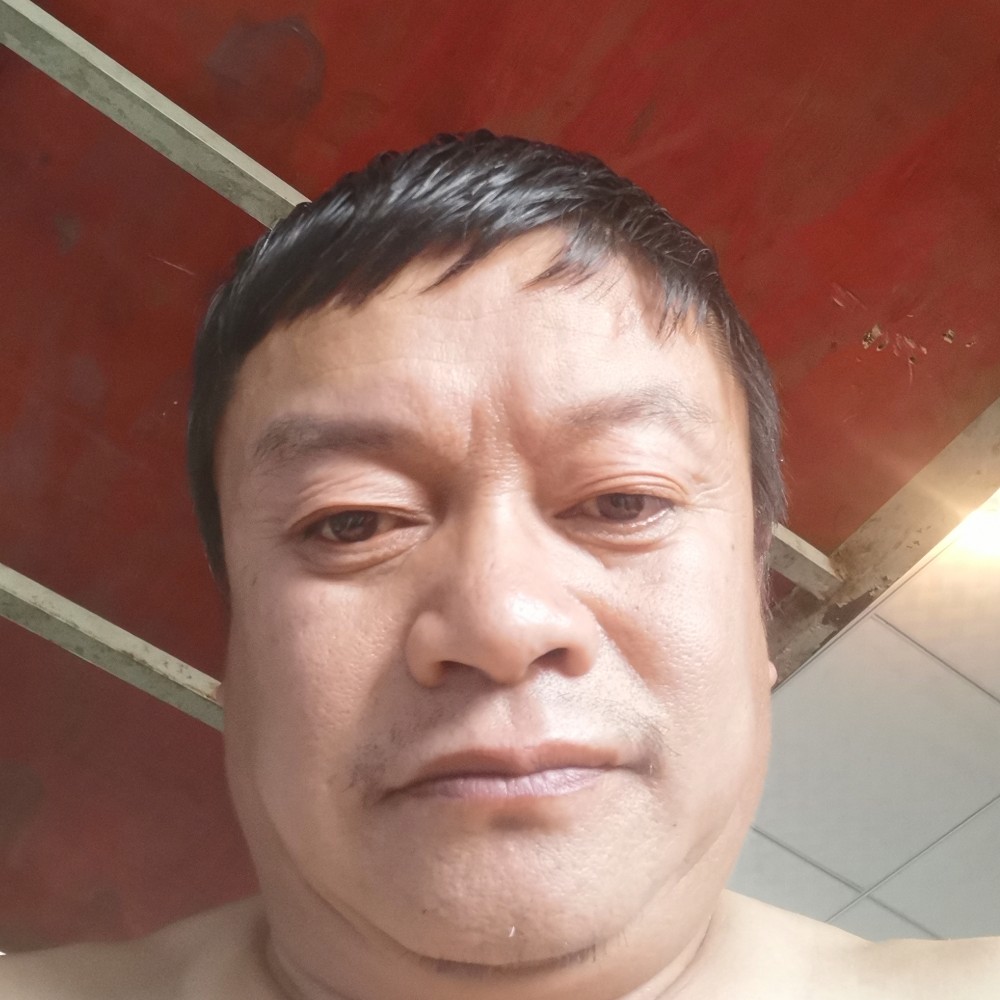 小天鹅向沉默的照片