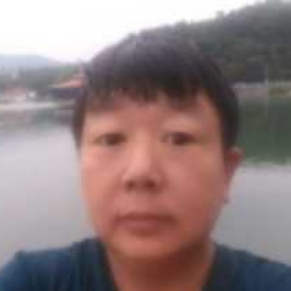 斑马凝眸大方的照片