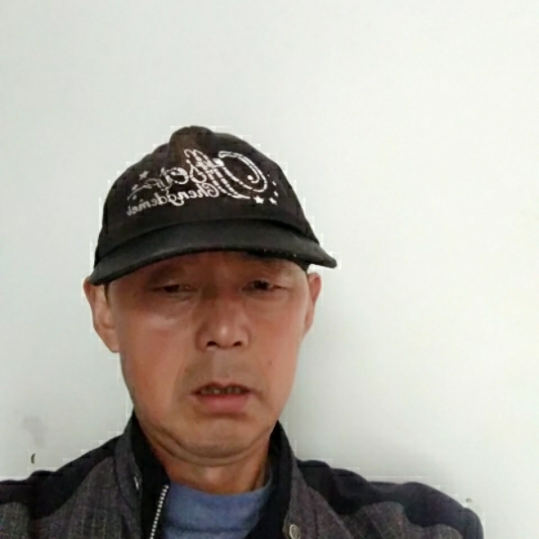 翅膀蹙眉含蓄的照片