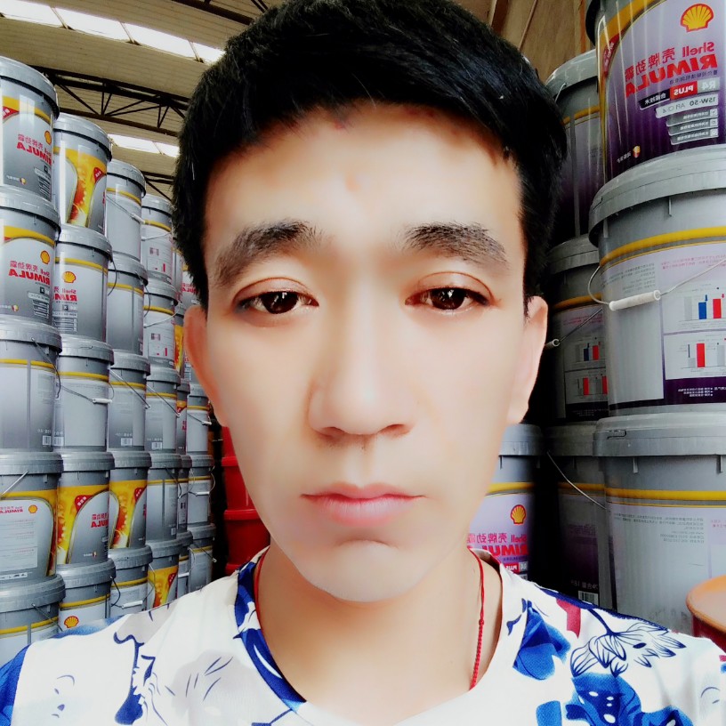 灰太狼的照片