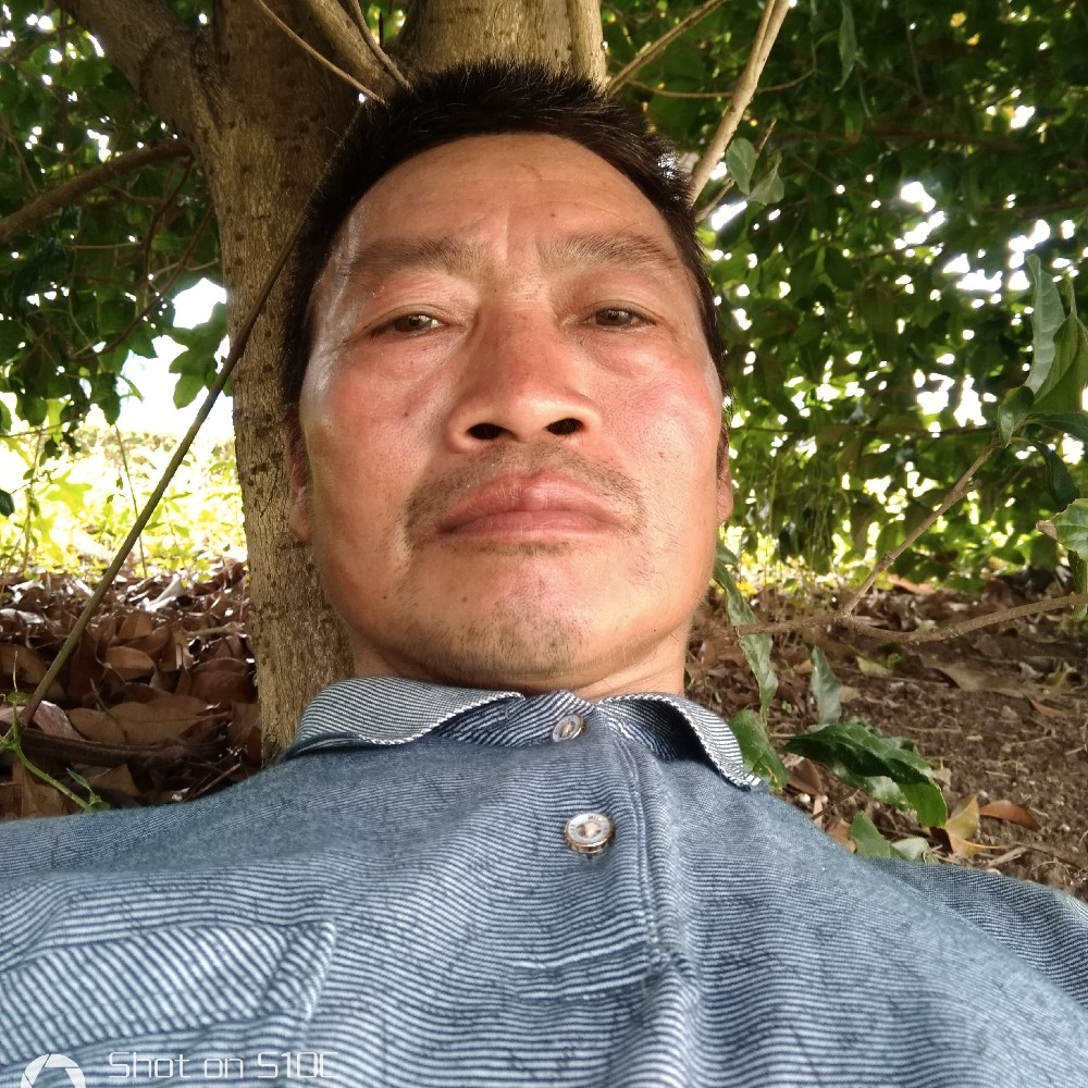 蜜粉高贵的照片