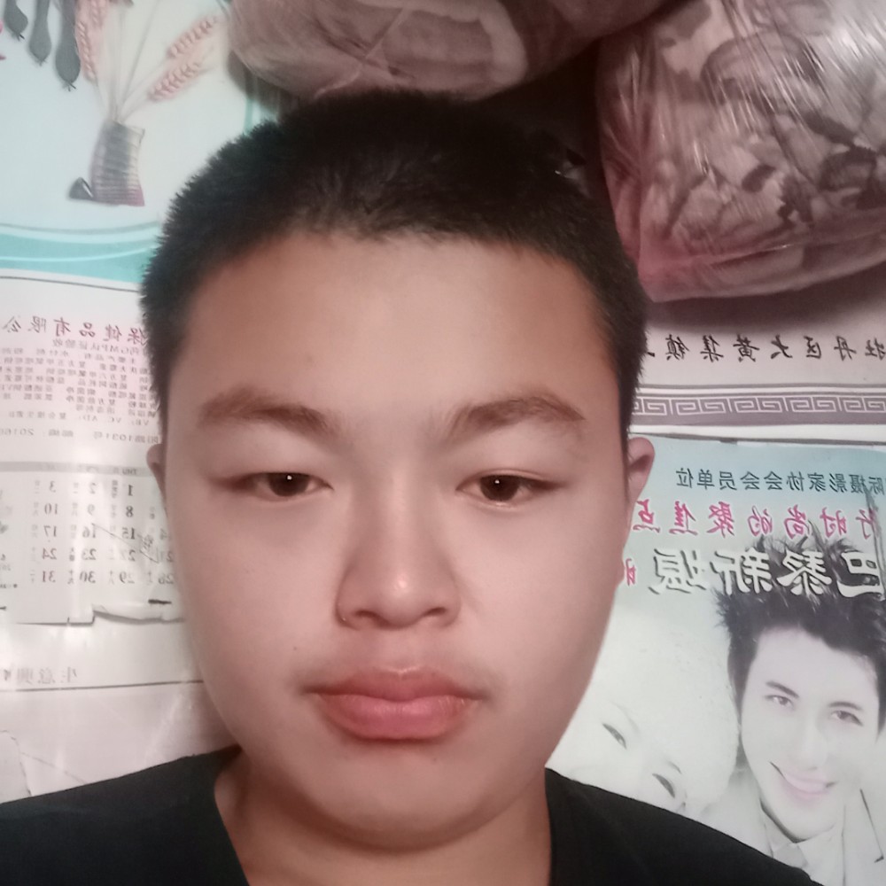 勤奋向晨阳的照片