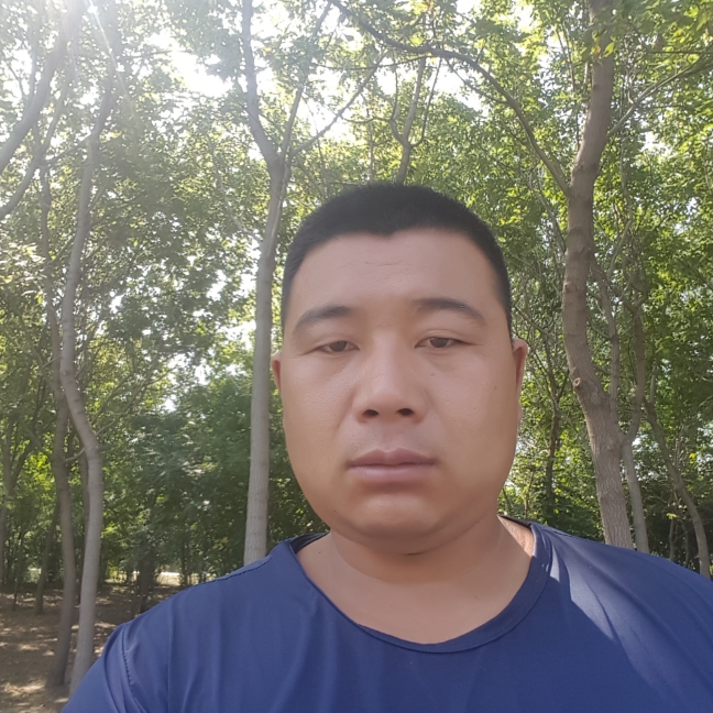 飞龙问天的照片