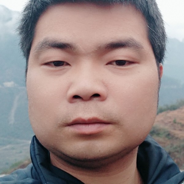 胡萝卜无情的照片