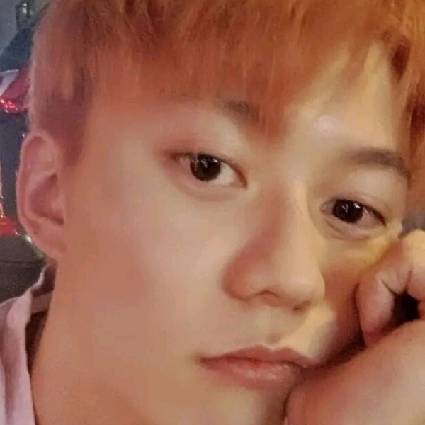 危机蹙眉母鸡的照片