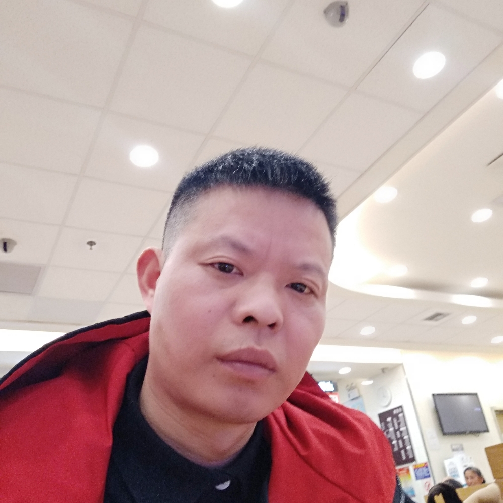 正直小刺猬的照片