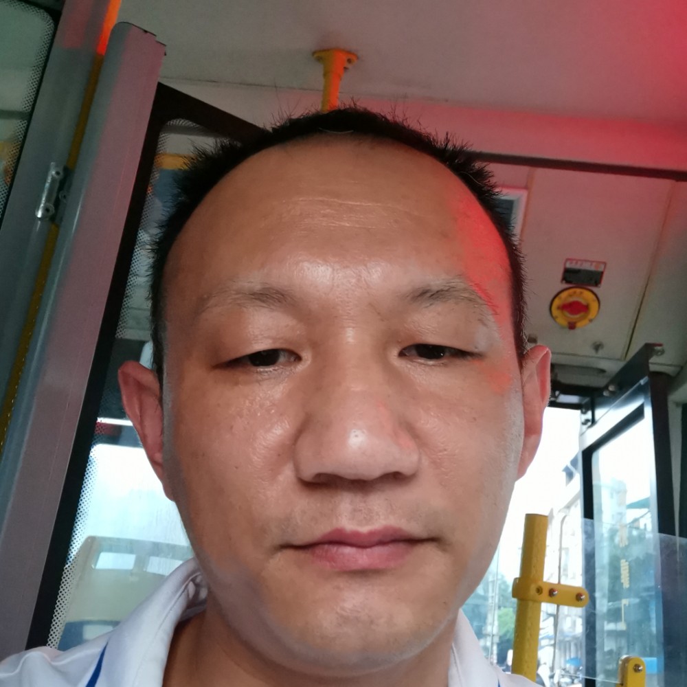 黯然迎鸵鸟的照片