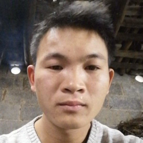 水池落寂的照片
