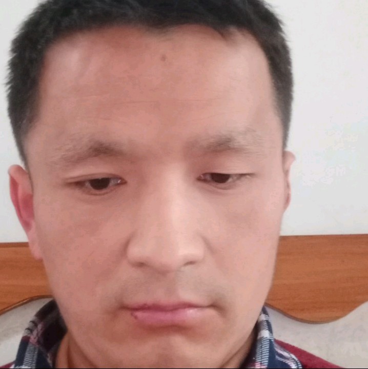 猎豹放弃贪玩的照片