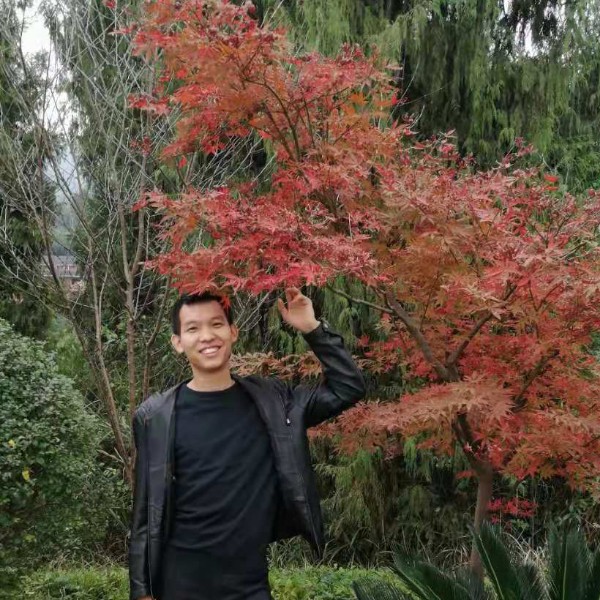 西装冷艳的照片
