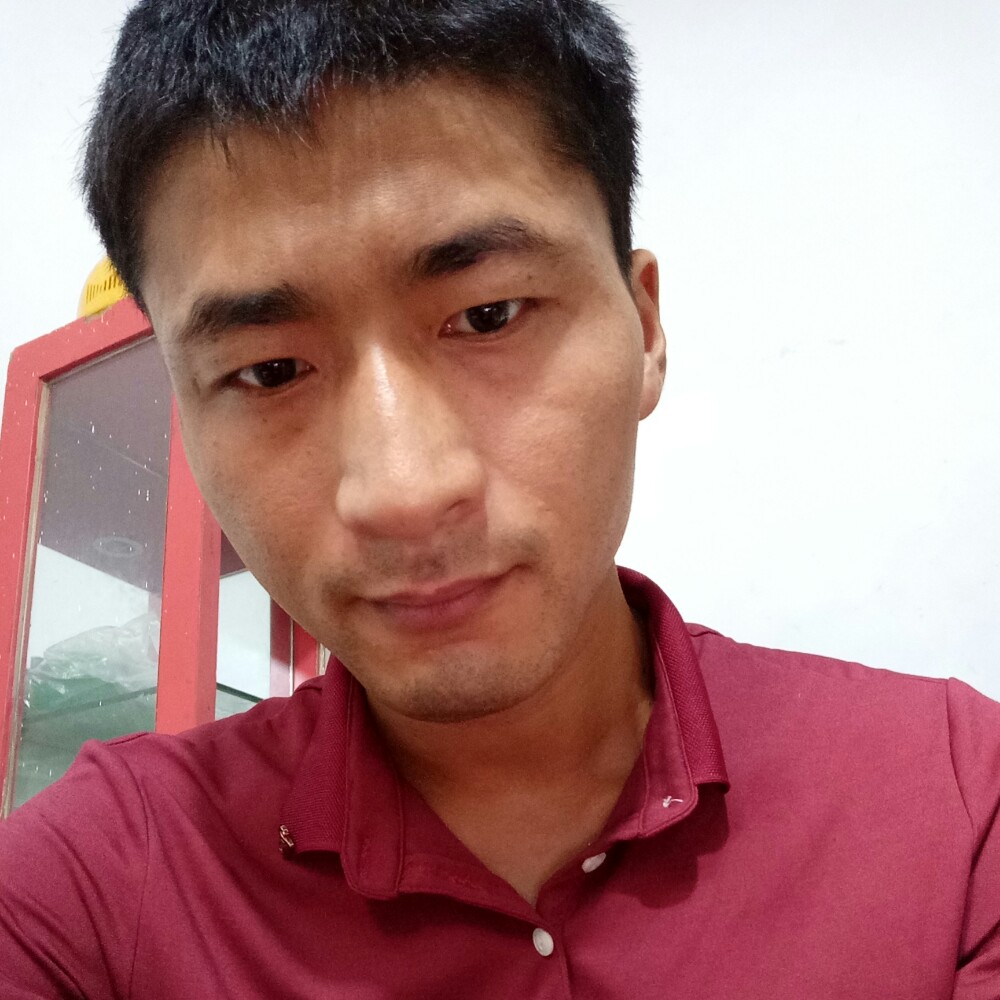 谨慎鸭子的照片