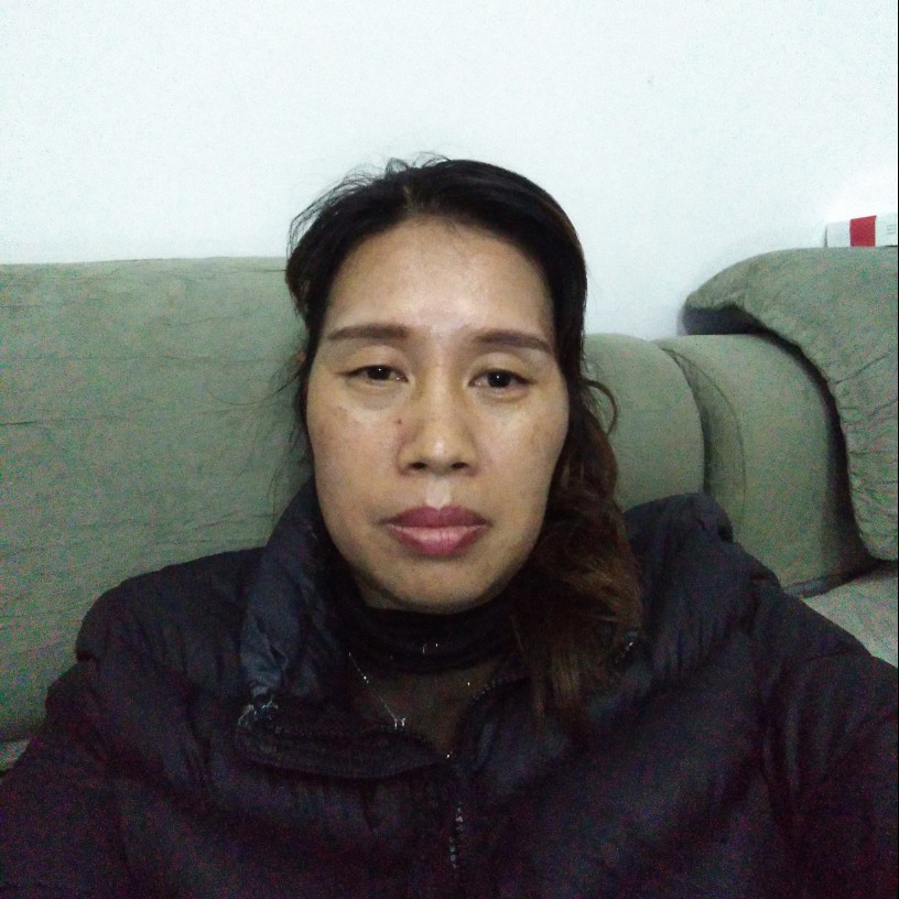 含蓄含羞草的照片