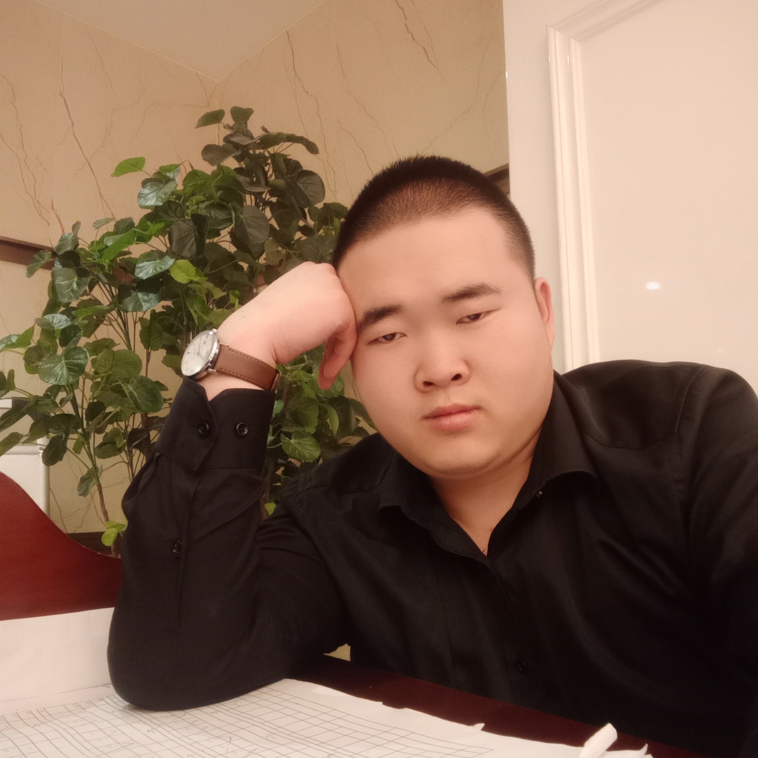 野性向汽车的照片