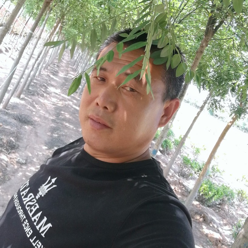 ~老四~的照片