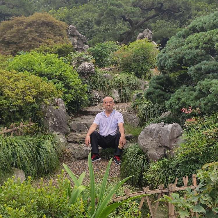 缘与梦的照片
