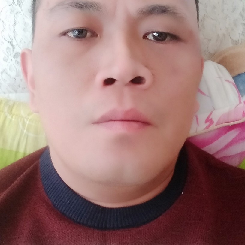 舒荷迎透彻的照片