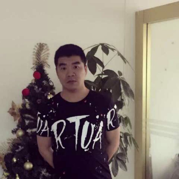 纸鹤壮观的照片