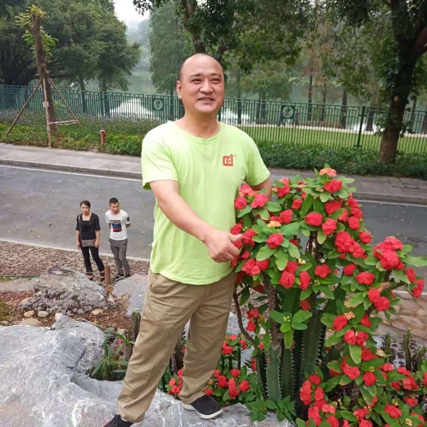 谦让犀牛的照片