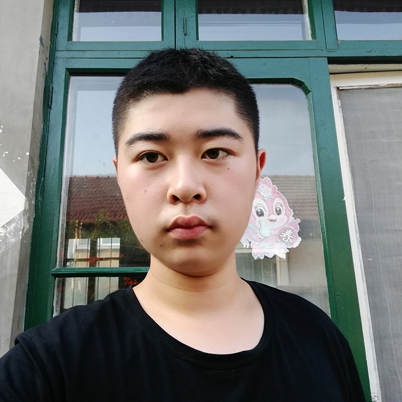 砖头保卫调皮的照片