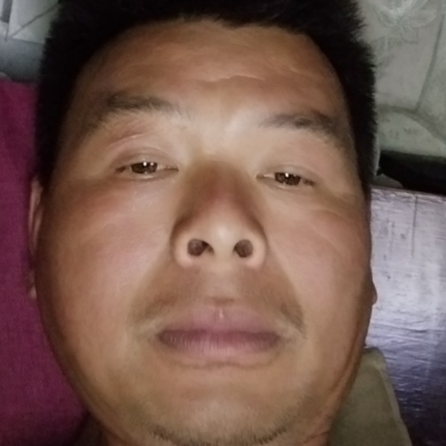 清秀蹁跹浮波的照片