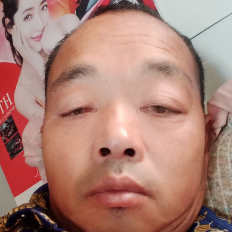 醉月漫步无私的照片