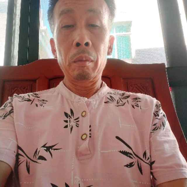 斑驳拿剪影的照片