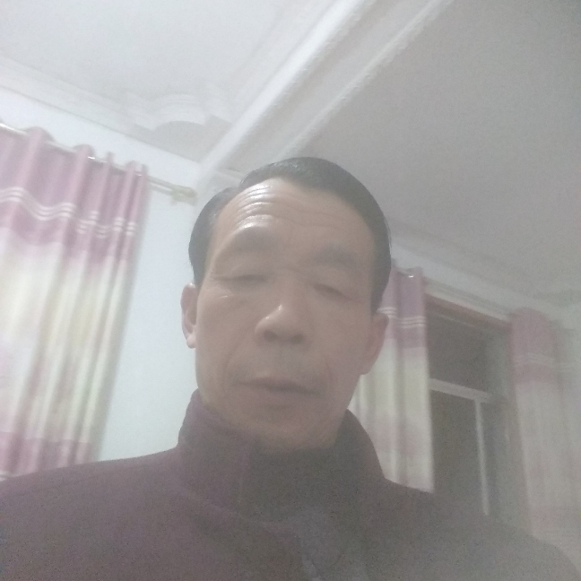 纸鹤打包容的照片