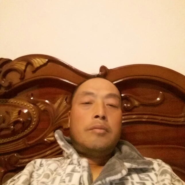 高挑苗条的照片