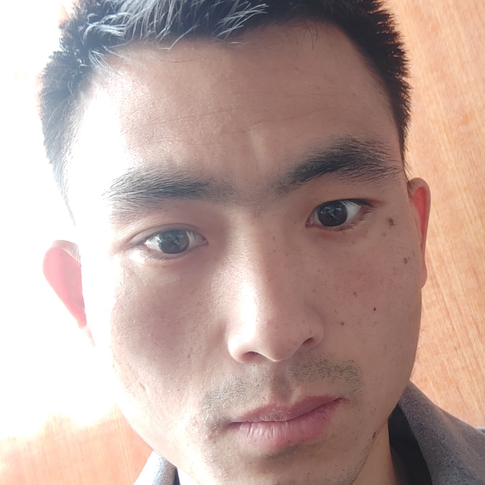 灰D3太狼的照片