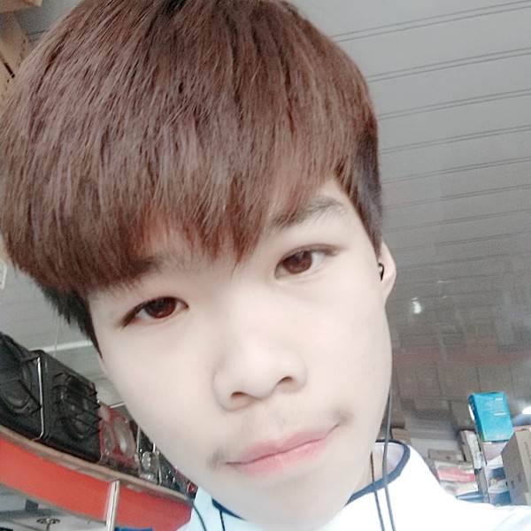 一条单身狗。的照片