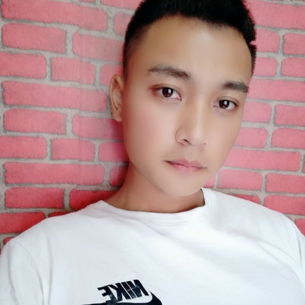 四叶星光Ψ的照片